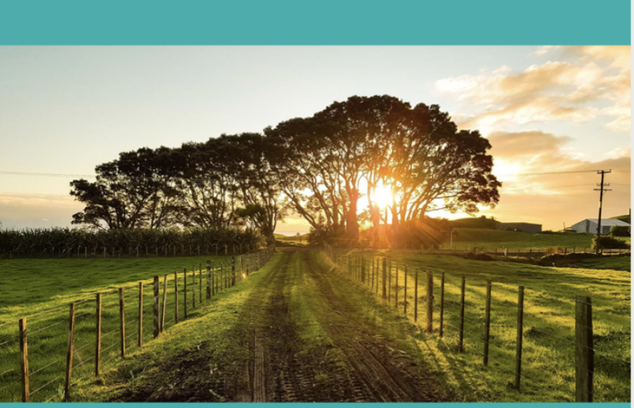 Northern Ireland Environment Link